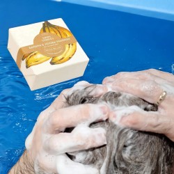 SHAMPOOING SOLIDE BANANE - SAVON STORIES - 70g - shampoing moussant sur les cheveux