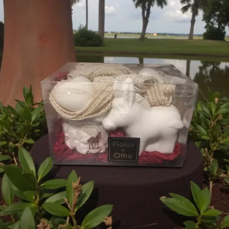 coffret ane et chantilly tiaré coco au lait d'anesse avec petits savons sur fond boisé