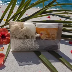 coffret mangue & son coulis sur fond de plage et branche de palmier