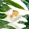 Shampooing Solide Banane - Douceur et Brillance Naturelle