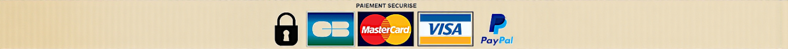 logo paiement sécurisé
