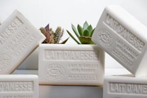 Savon lait d'ânesse bio